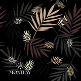Palm mix on a black background